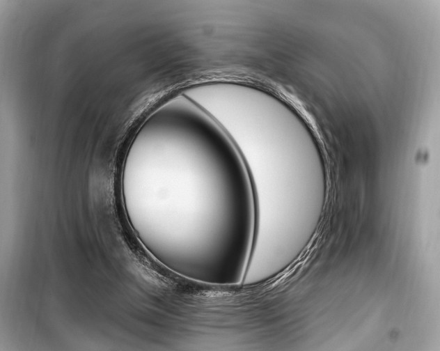 X0000099930154200805231006