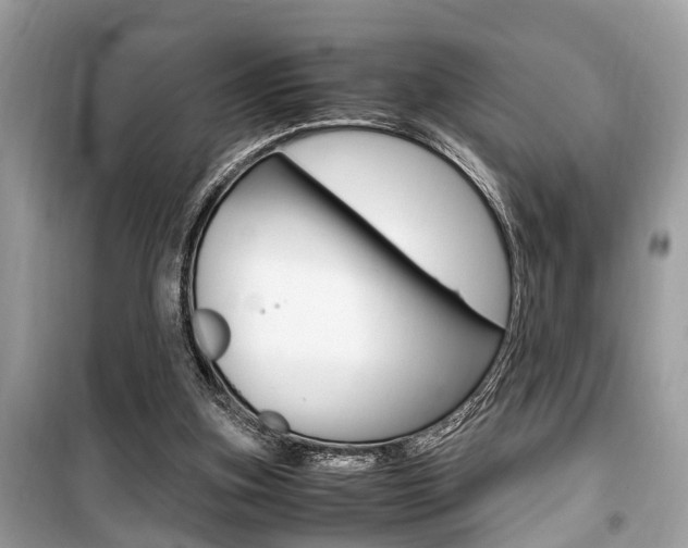 X0000099930155200805231006