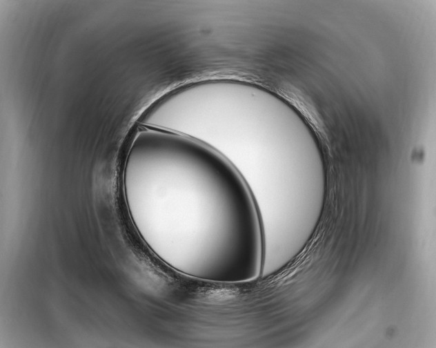 X0000099930156200805231006