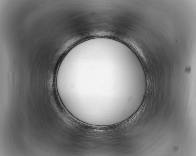 X0000099930159200805231006