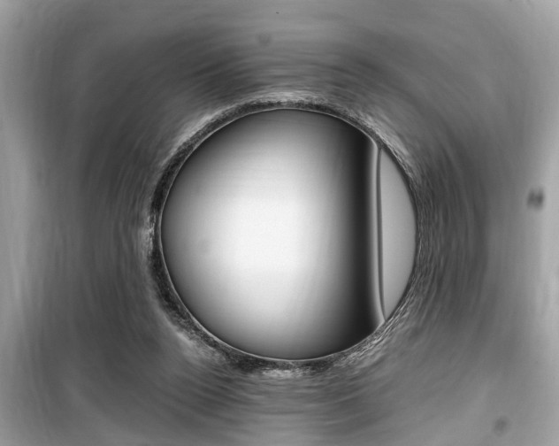 X0000099930160200805231006