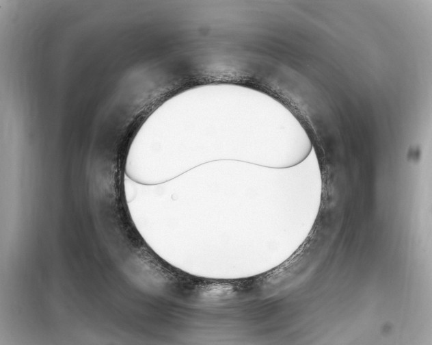 X0000099930162200805231006