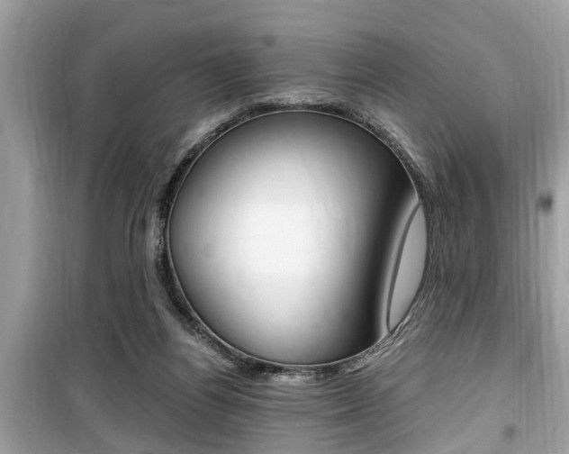 X0000099930164200805231006