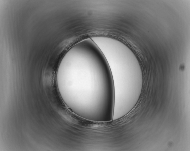 X0000099930168200805231006