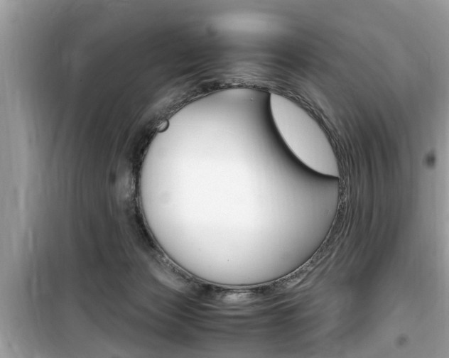 X0000099930173200805231007