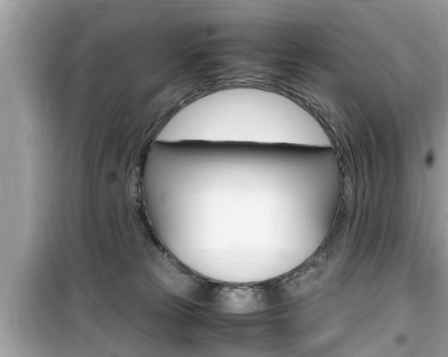 X0000099930181200805231007