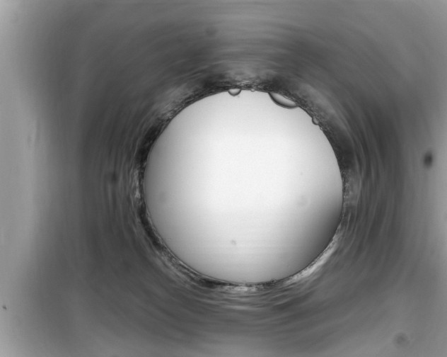 X0000099930182200805231007