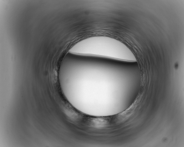 X0000099930183200805231007