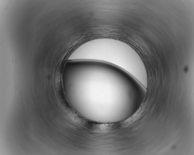 X0000099930184200805231007