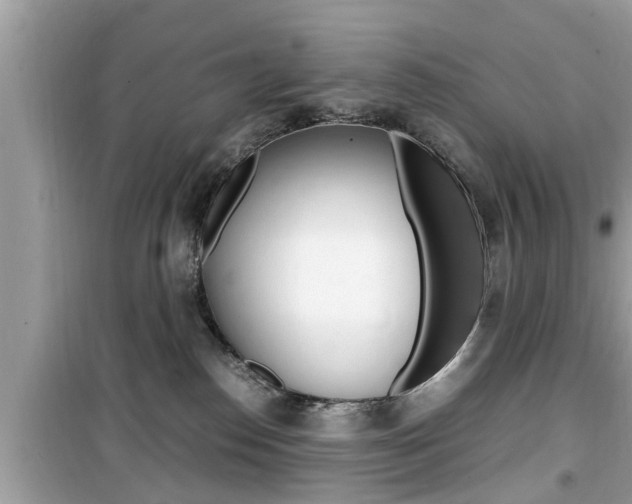 X0000099930186200805231007