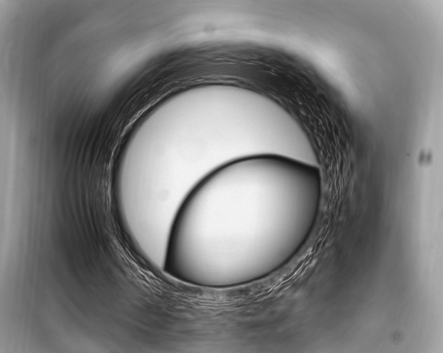 X0000099930194200805231006