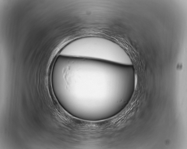 X0000099930195200805231006