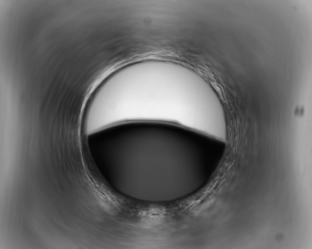 X0000099930196200805231006