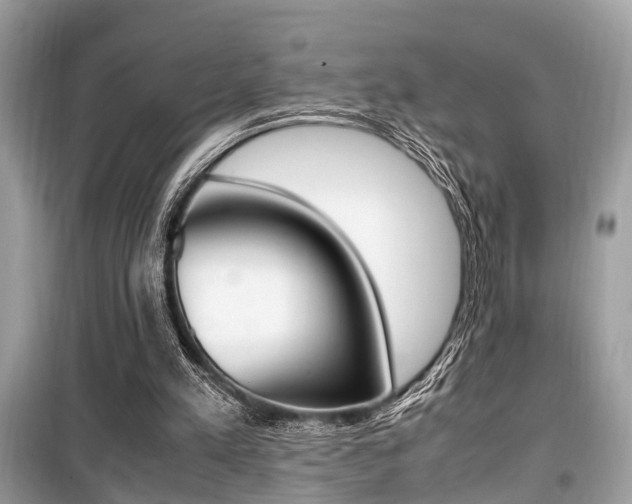 X0000099930197200805231006