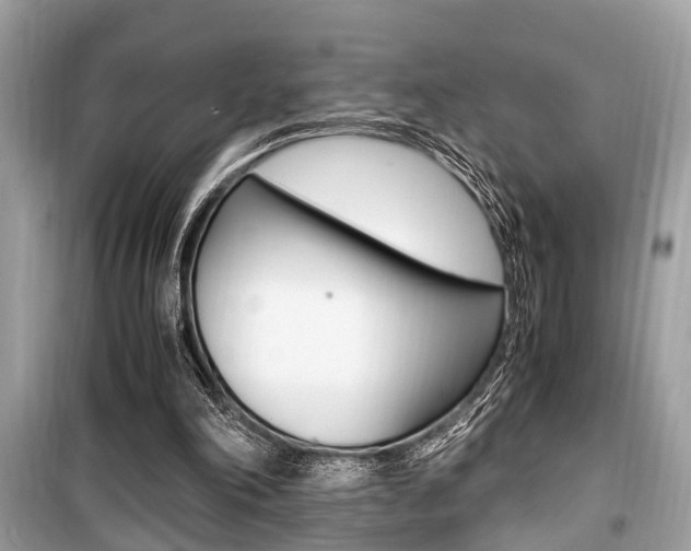 X0000099930198200805231006