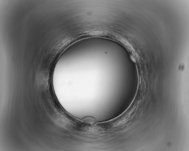 X0000099930201200805231006