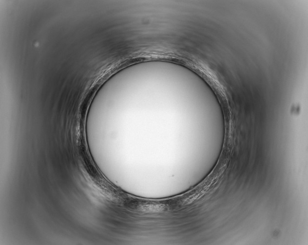 X0000099930202200805231006