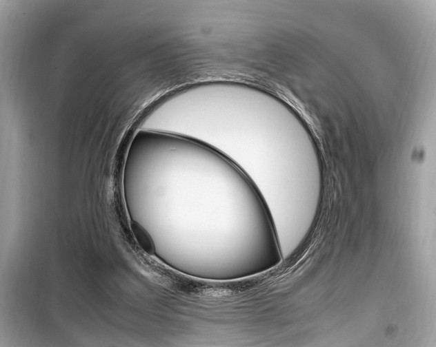 X0000099930203200805231006