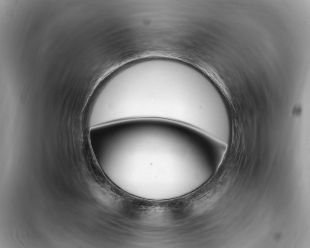 X0000099930204200805231006
