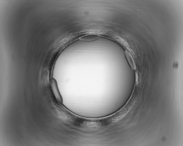 X0000099930205200805231006