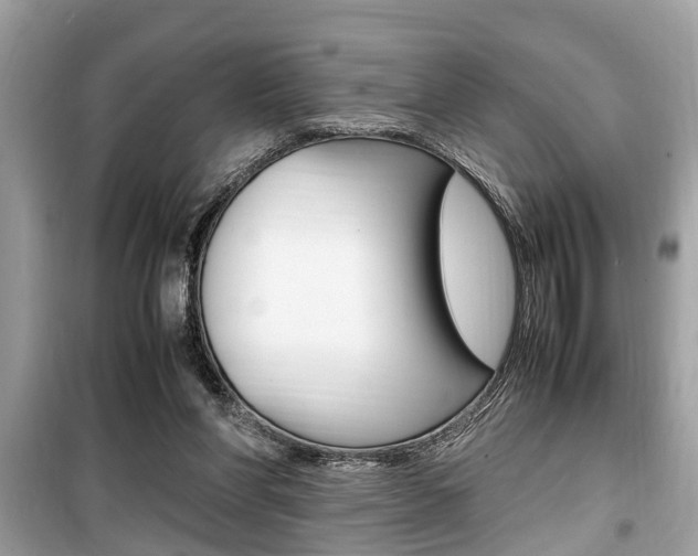 X0000099930206200805231006