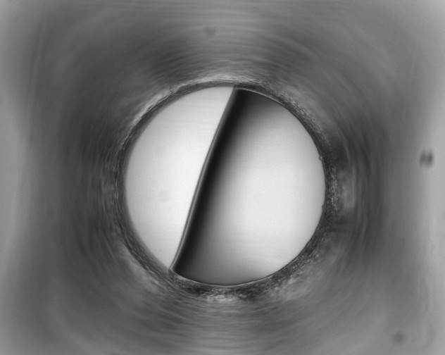X0000099930208200805231006