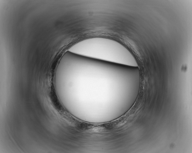 X0000099930210200805231006