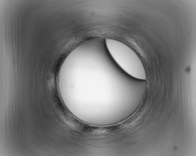 X0000099930213200805231006