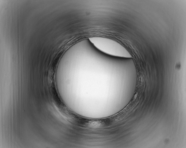 X0000099930218200805231006