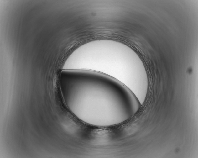 X0000099930219200805231006