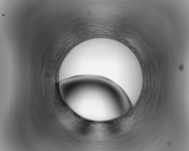 X0000099930221200805231006