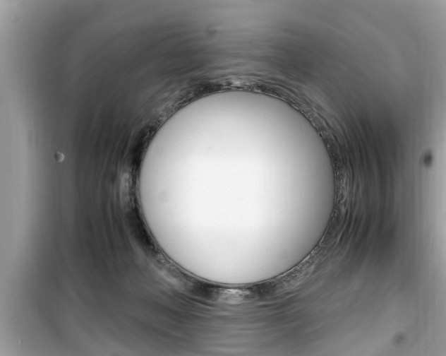 X0000099930222200805231006