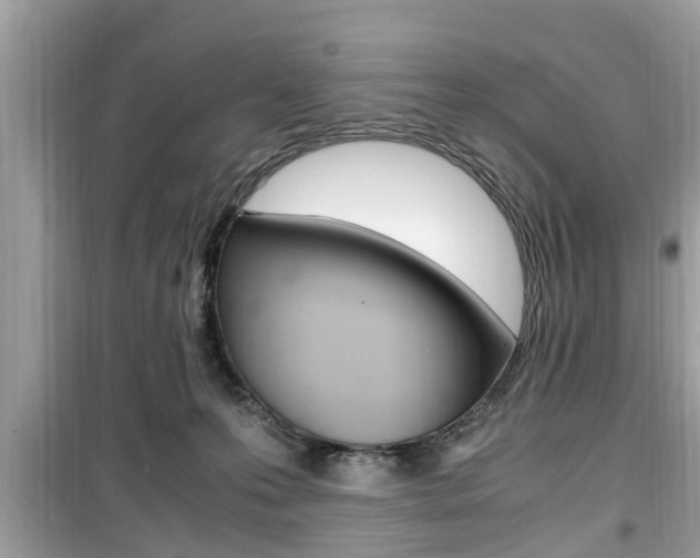 X0000099930223200805231006