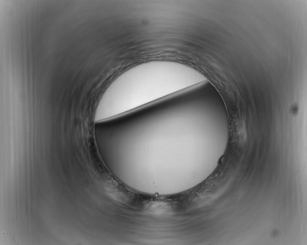 X0000099930224200805231006
