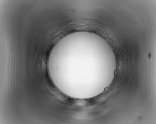 X0000099930226200805231006