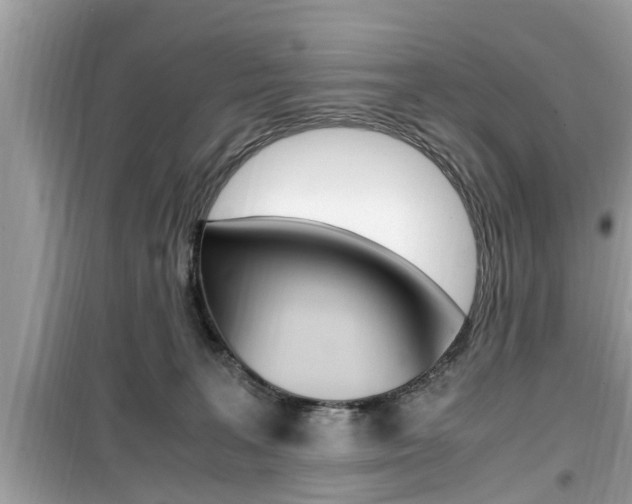 X0000099930227200805231006