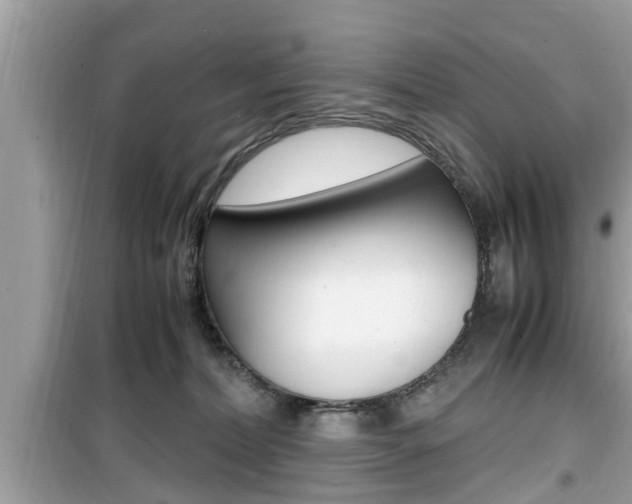 X0000099930228200805231006