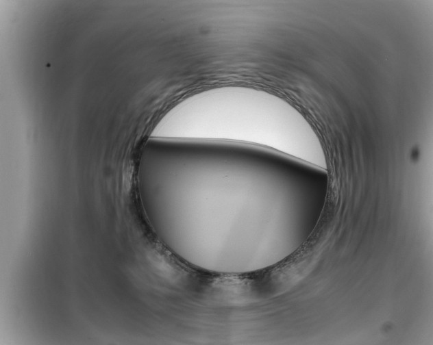 X0000099930231200805231006
