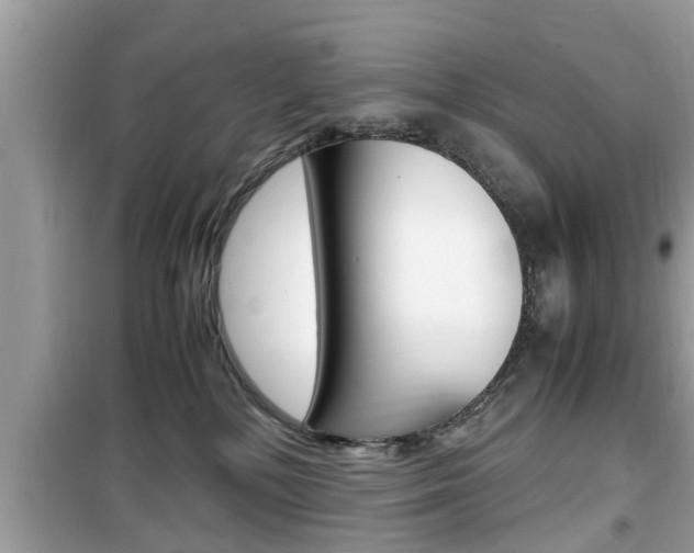 X0000099930232200805231006