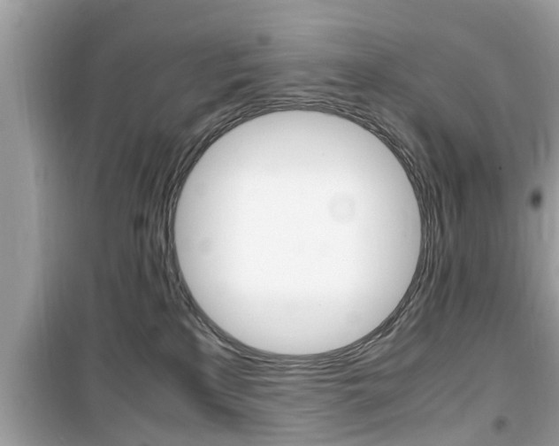 X0000099930233200805231006