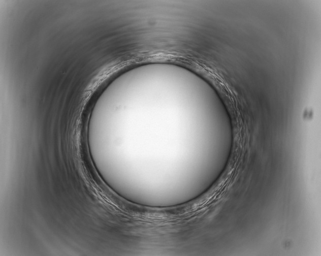 X0000099930242200805231005