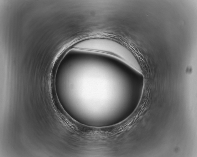 X0000099930244200805231005