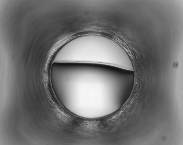 X0000099930245200805231005