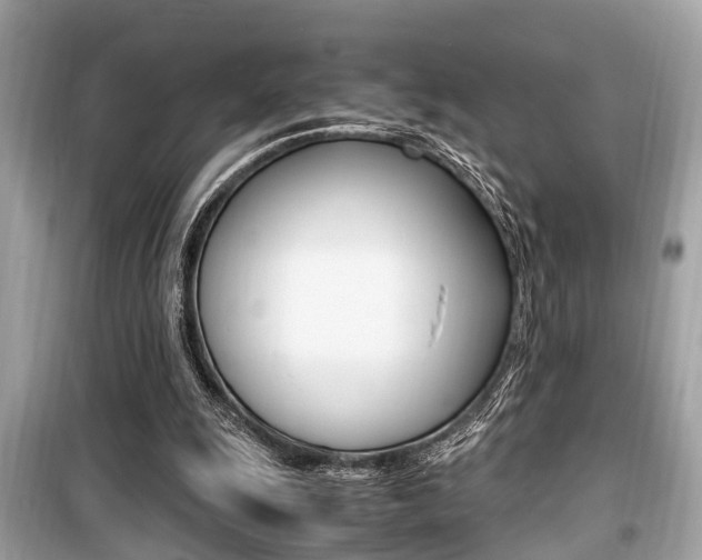 X0000099930247200805231005