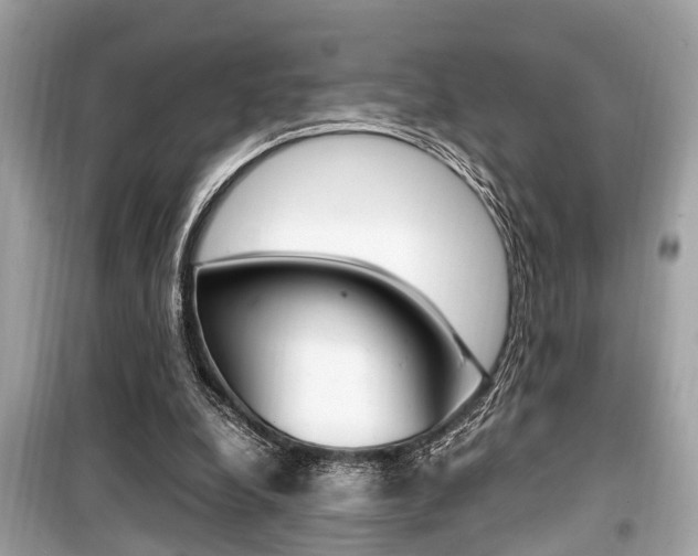 X0000099930248200805231005