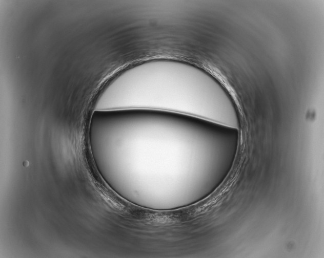 X0000099930249200805231005