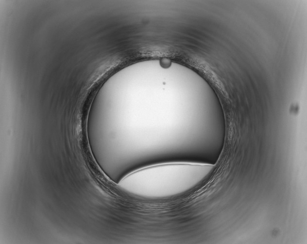 X0000099930251200805231005
