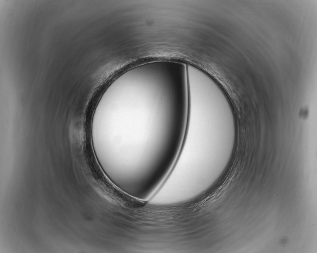 X0000099930252200805231005