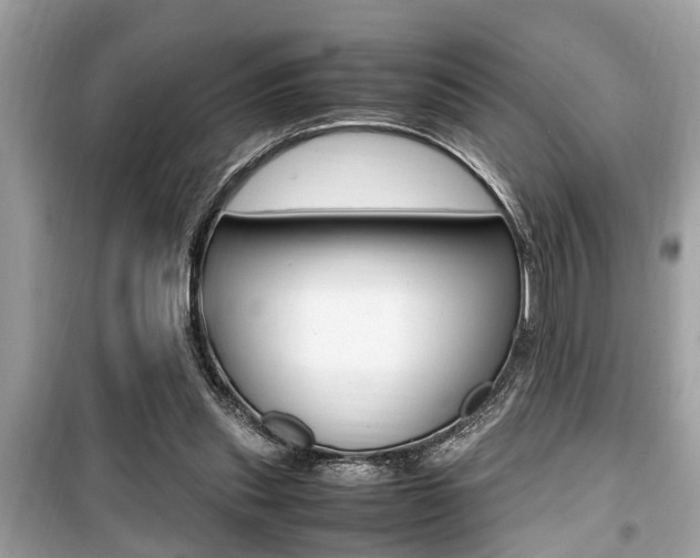 X0000099930253200805231005