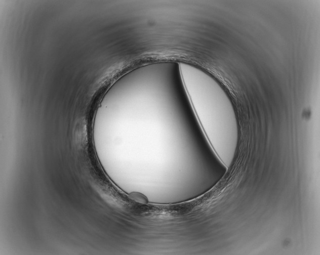 X0000099930254200805231005